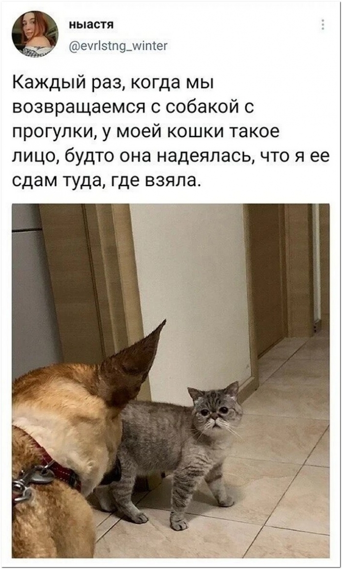фото прикольное