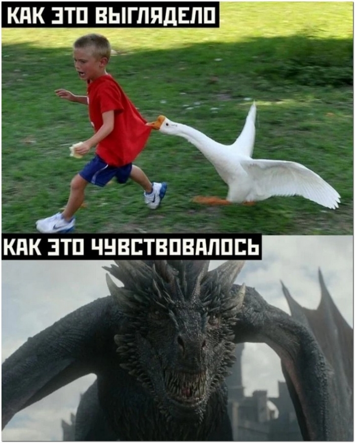фото прикольное