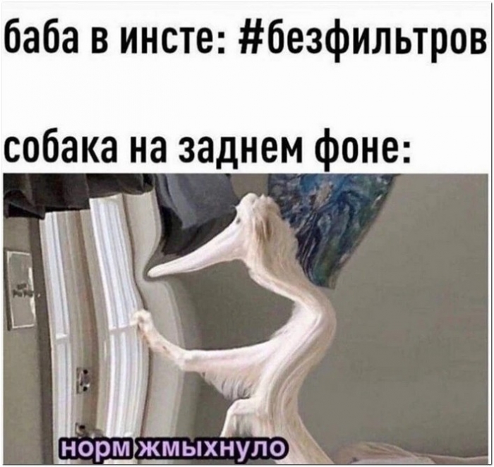 фотоприкол