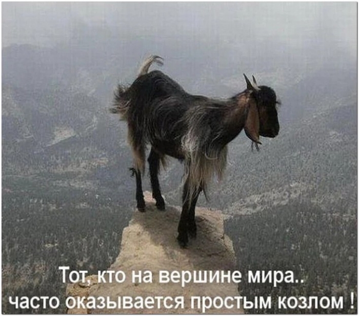 фотоприкол