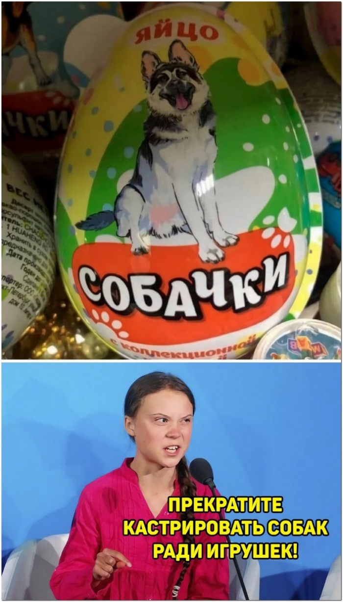 фотоприкол