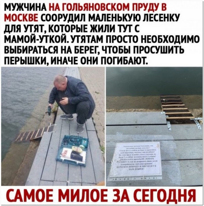фотоприкол