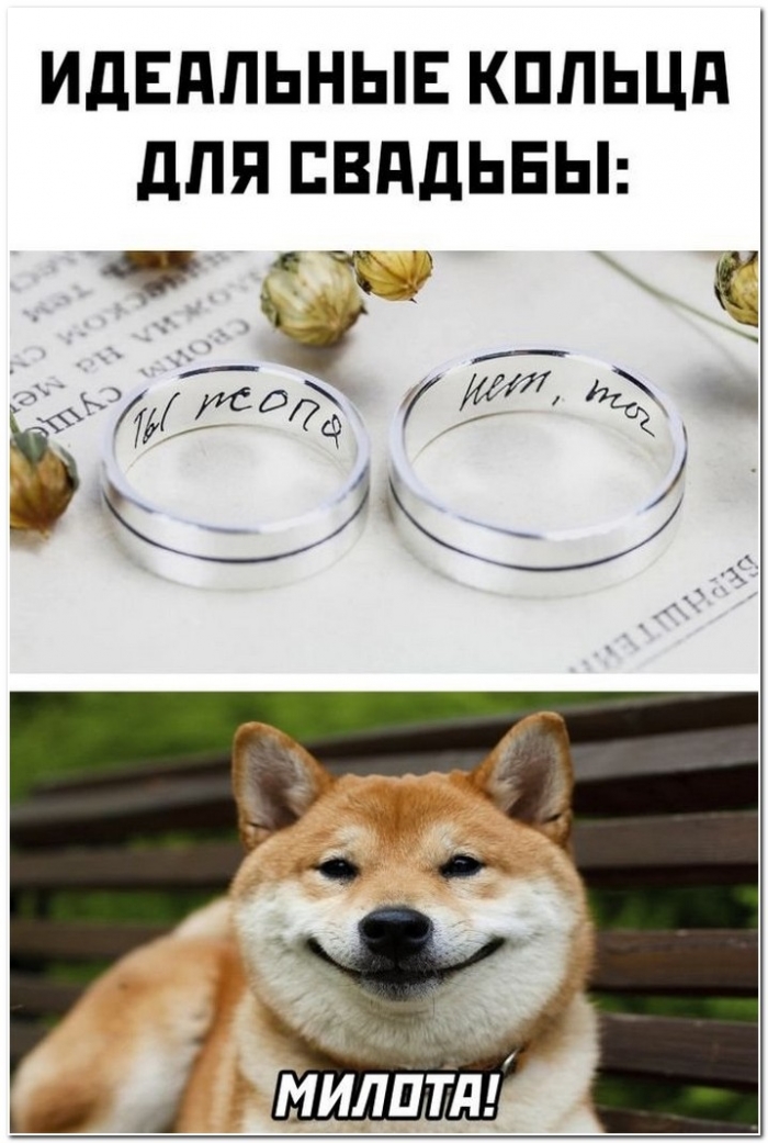 фотоприкол