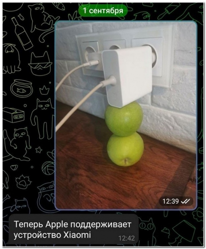 фотоприкол