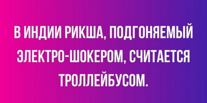 смешная картинка с текстом