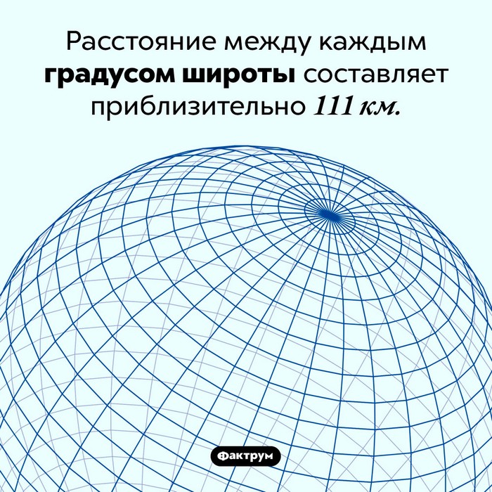 факт картинка