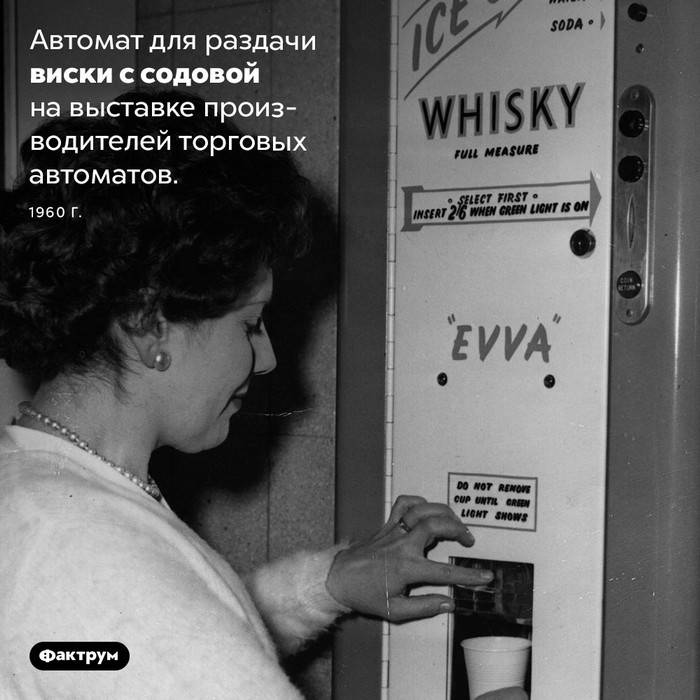 факт картинка