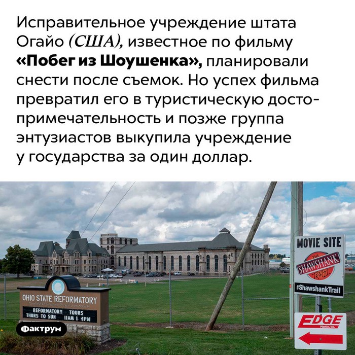 факт картинка