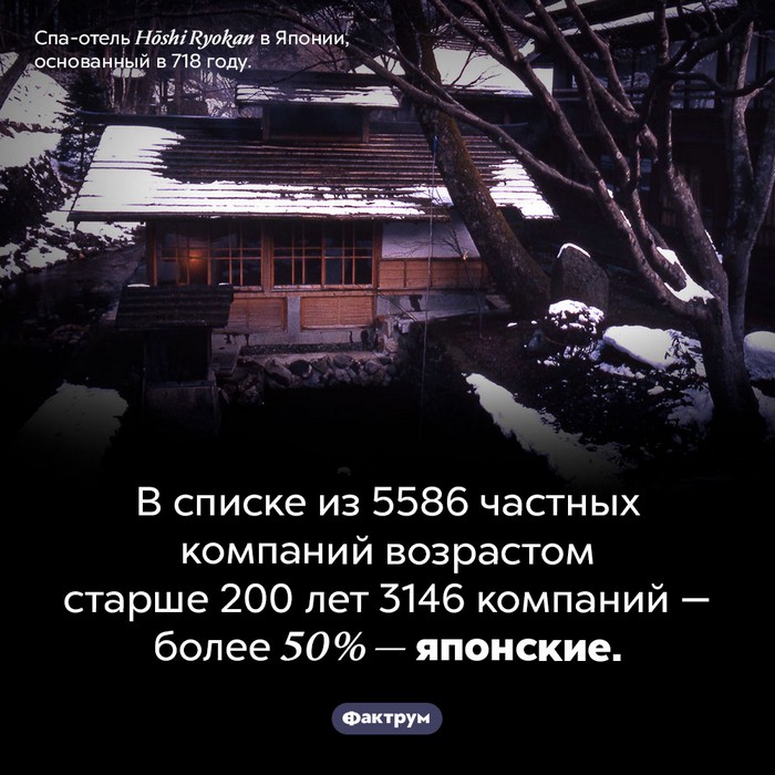 факт картинка