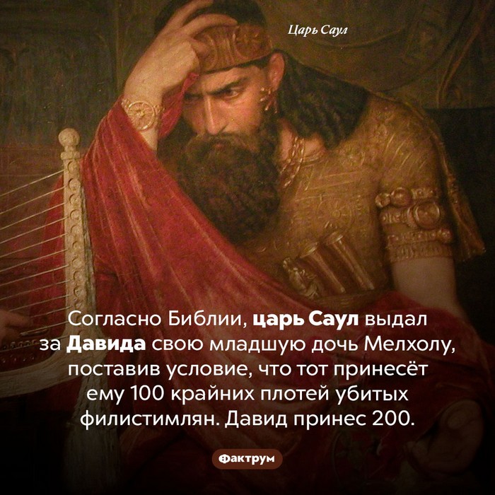 факт картинка