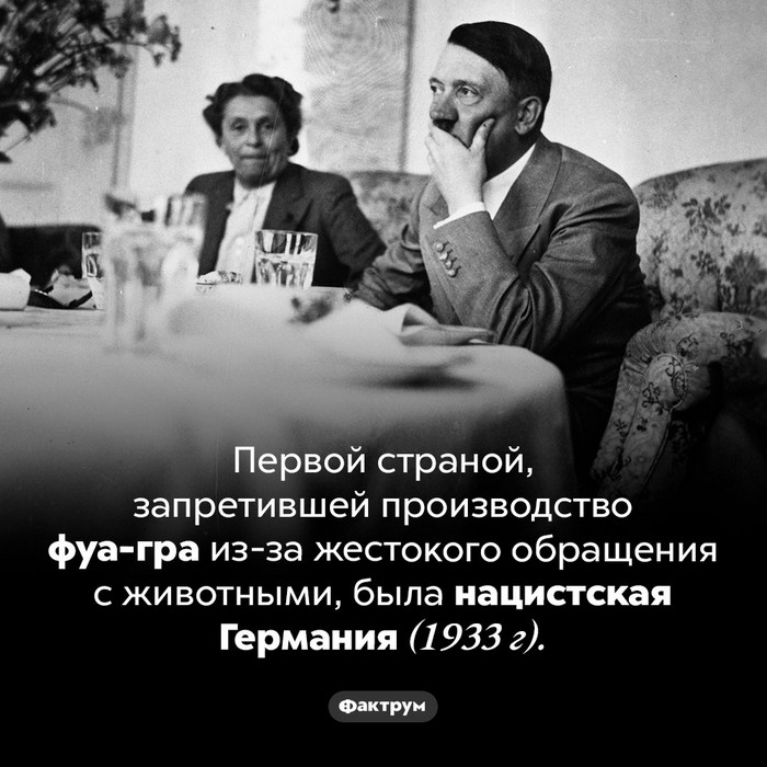 Интересные факты и фотографии
