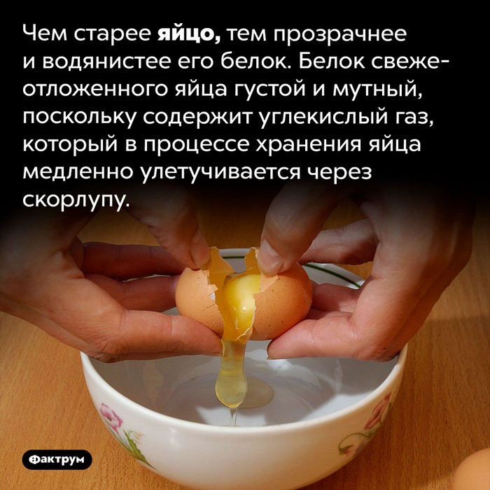Факты и картинки
