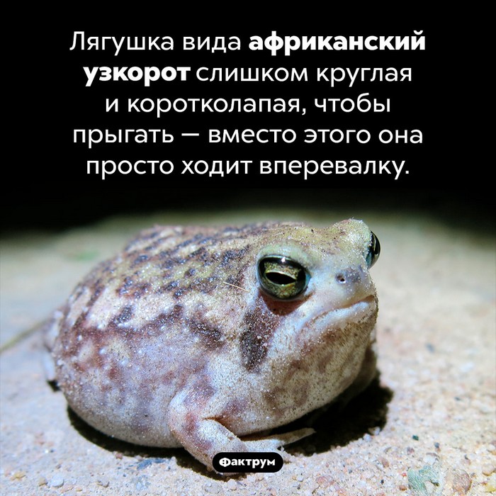 интересно