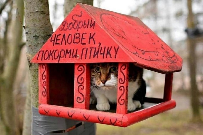 Интересные фото со всего мира. Очередная подборка.