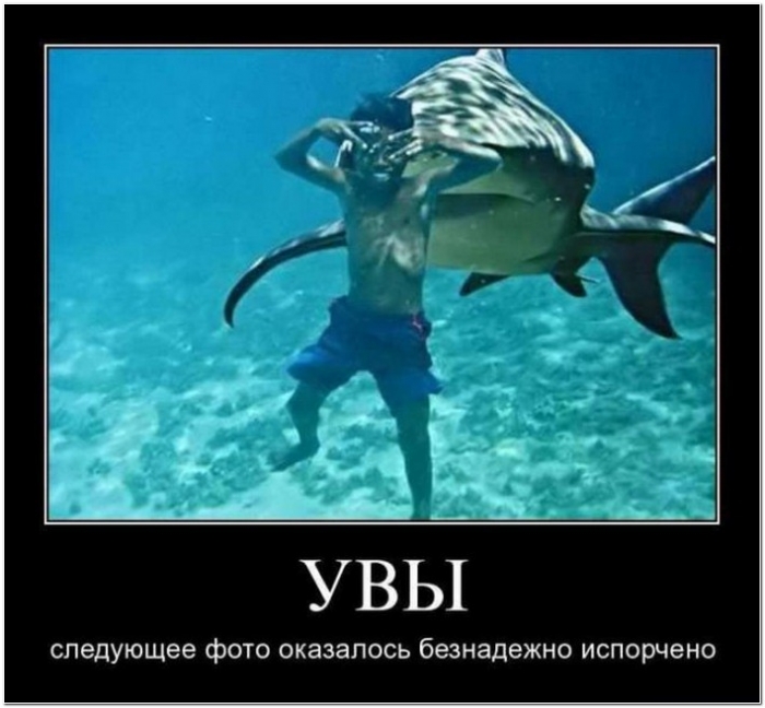 демотиватор