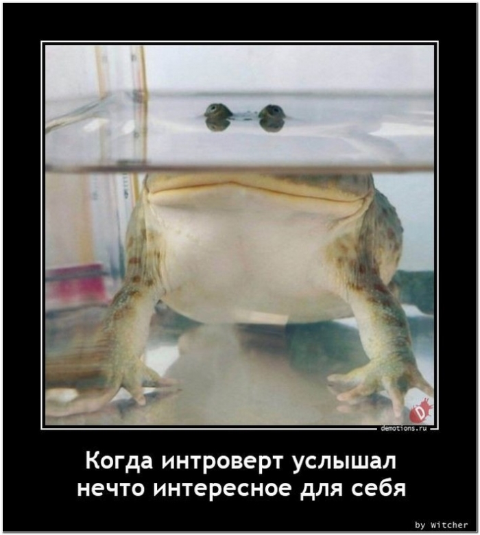 демотиватор