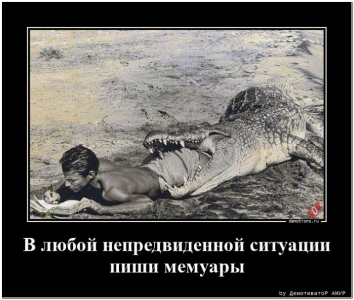 демотиватор
