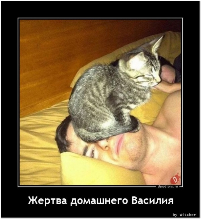 демотиватор