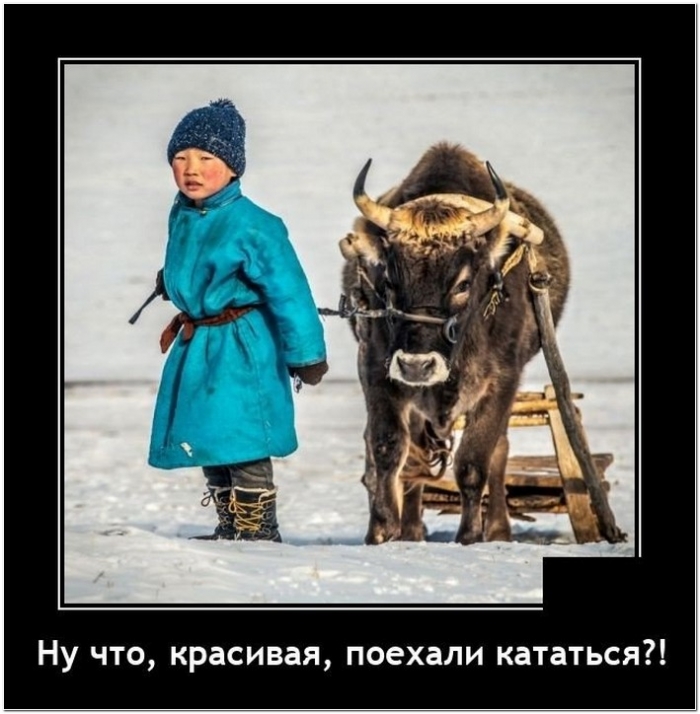 демотиватор