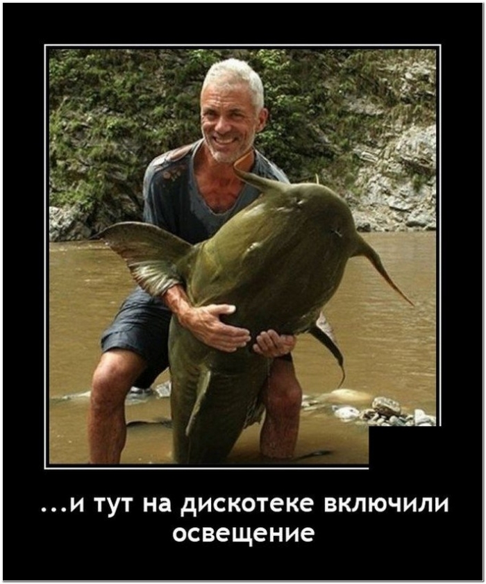 демотиватор