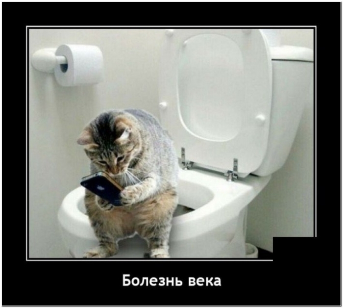 демотиватор