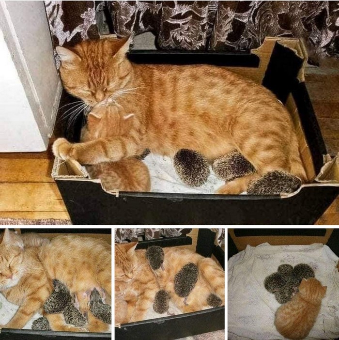 Фото вместо тысячи слов