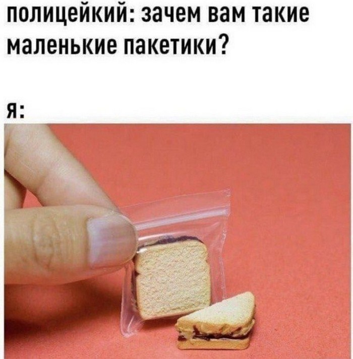 фото прикол