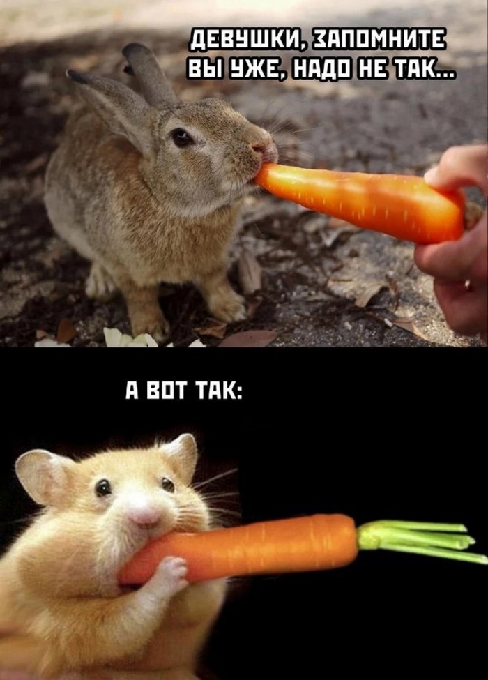 фото прикол