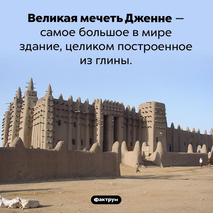 Интересные факты обо всем