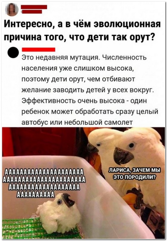 прикольная картинка