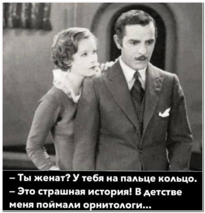 прикольная картинка