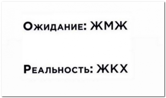 прикольная картинка