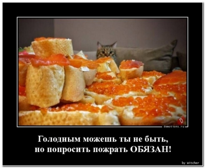 демотиватор