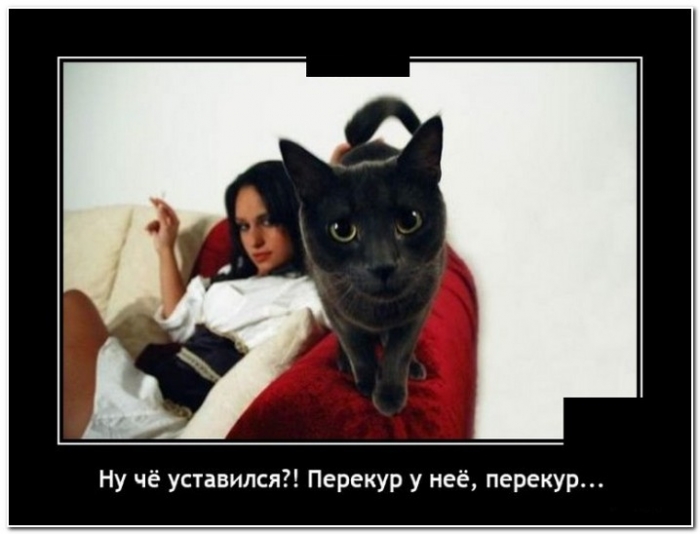 демотиватор