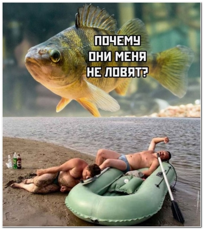 фото юмор
