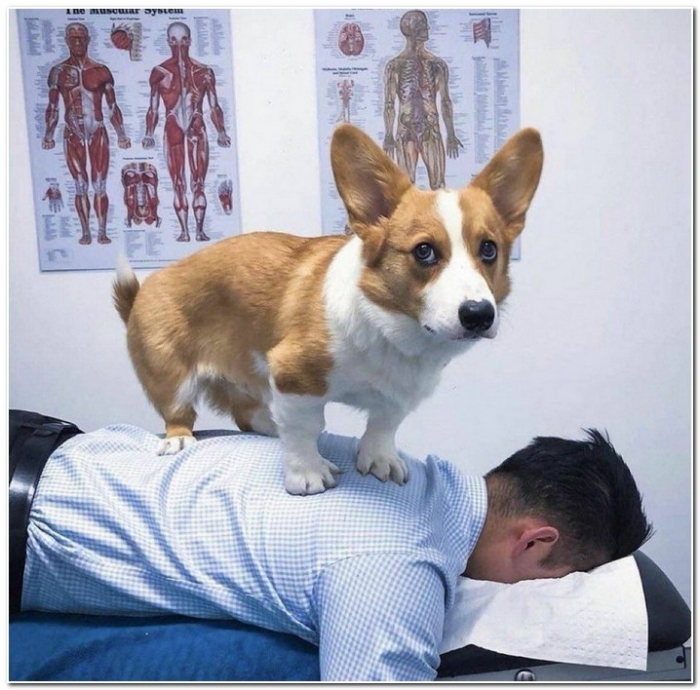 Просто интересные фото