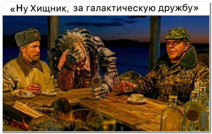 Прикольные картинки