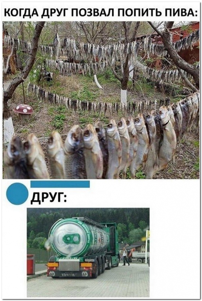 юмор алкоголь