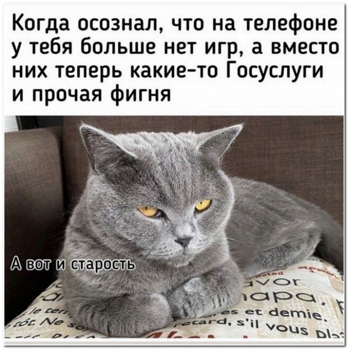 фото прикол