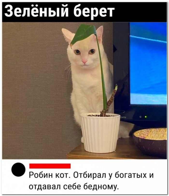 фото прикол