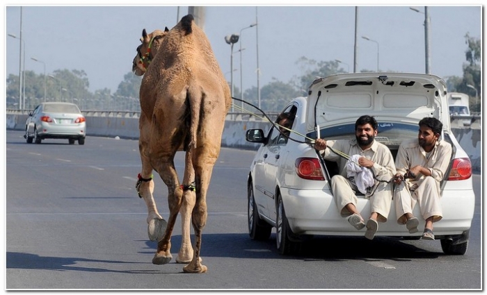 Интересные картинки