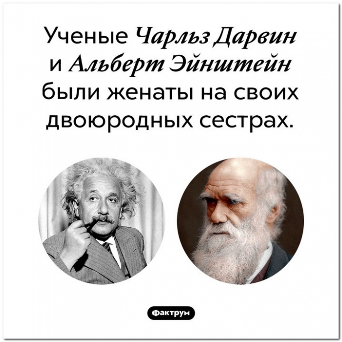 Интересные факты обо всем