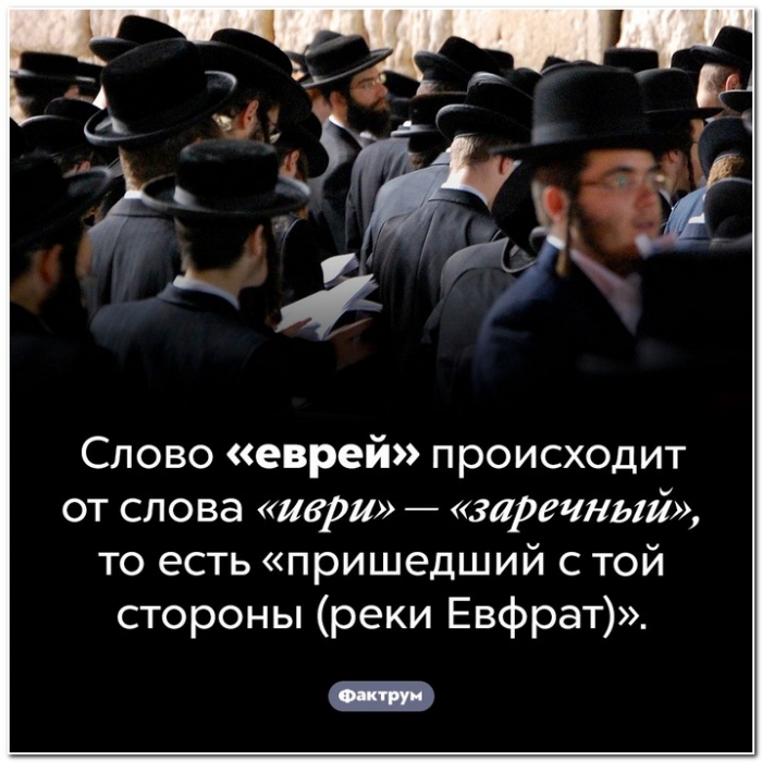 Занимательные факты