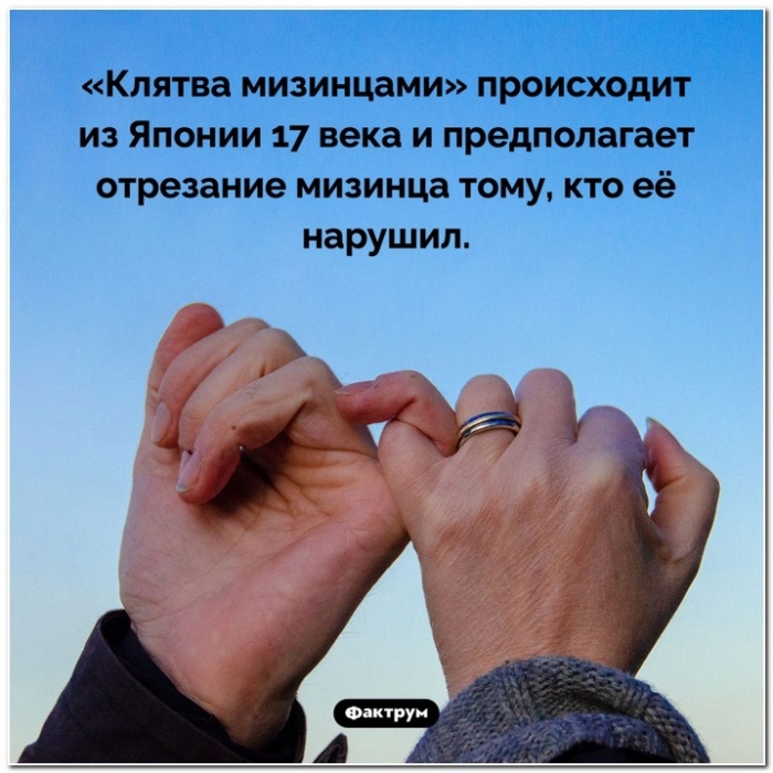 Факты в картинках