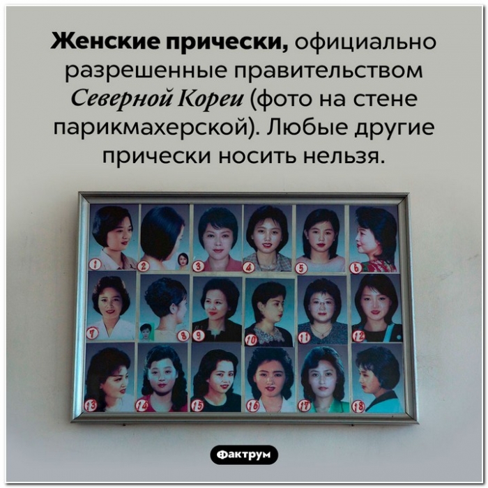 Факты в картинках