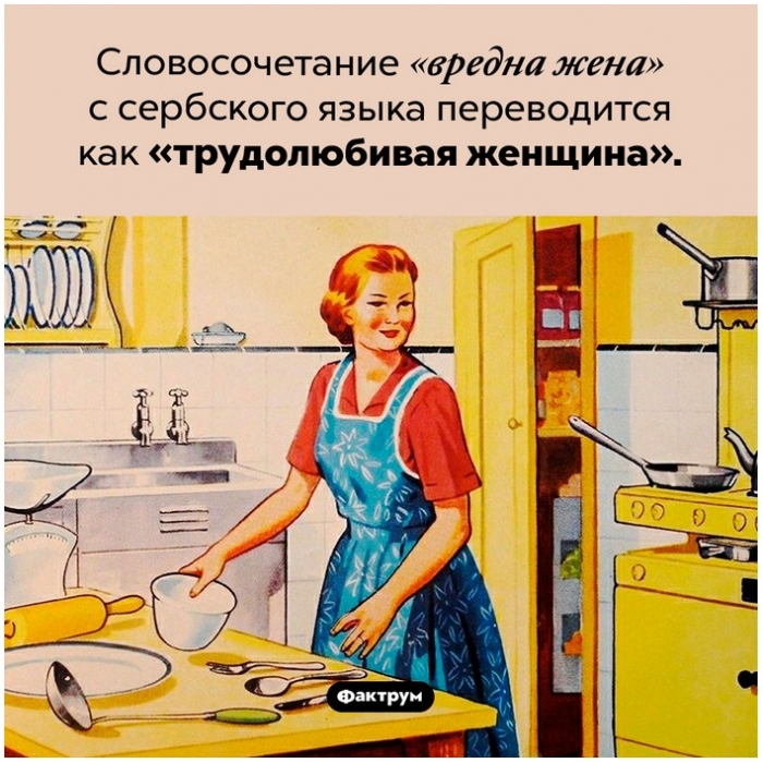 Интересные факты обо всем