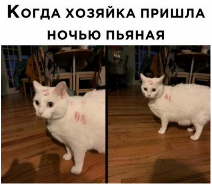фото прикол