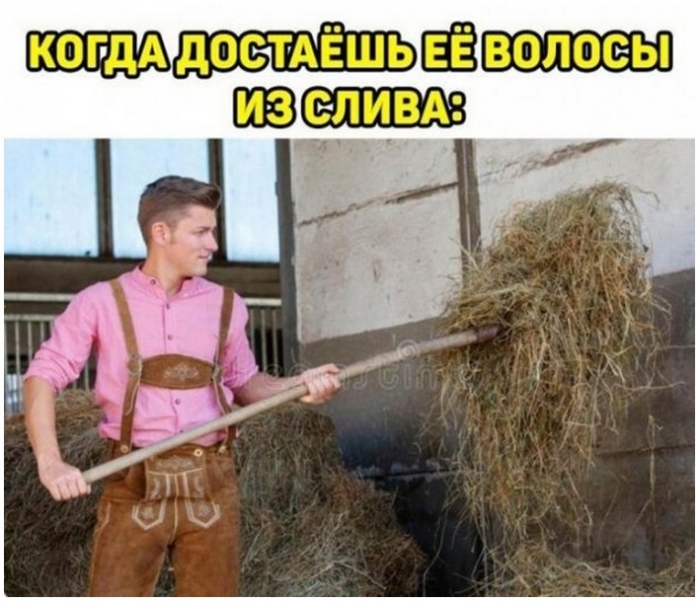 фото прикол
