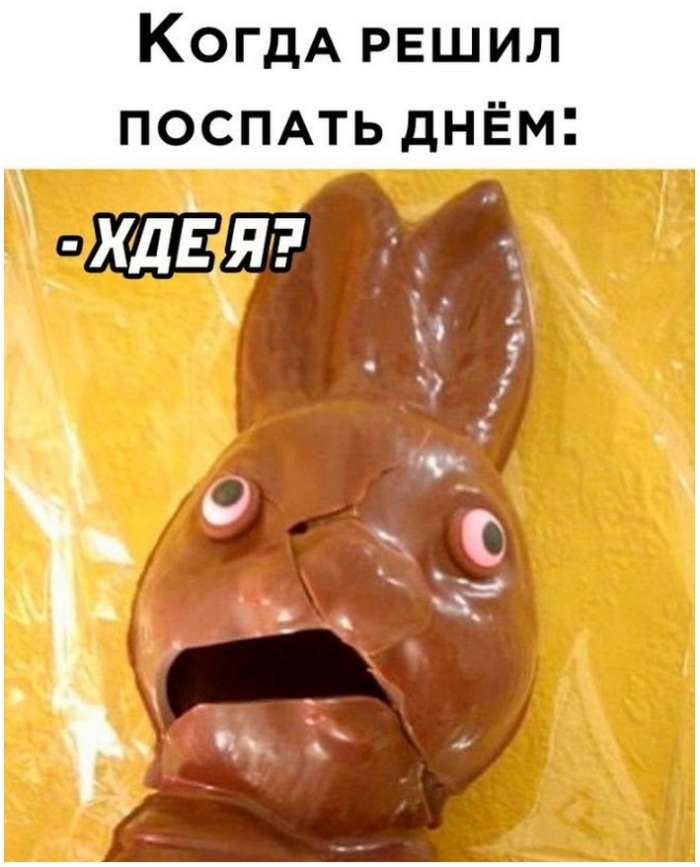 фото прикол