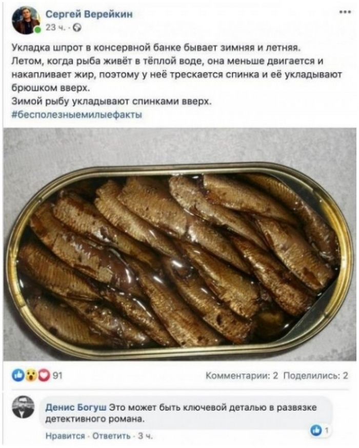 фото прикол
